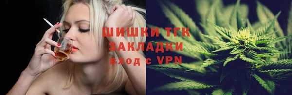 стафф Арсеньев