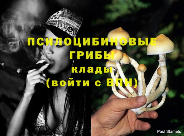 apvp Армянск