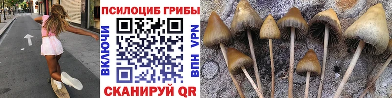 купить сайты Долгопрудный Галлюциногенные грибы мицелий
